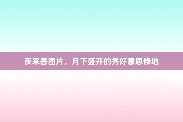 夜来香图片，月下盛开的秀好意思倏地