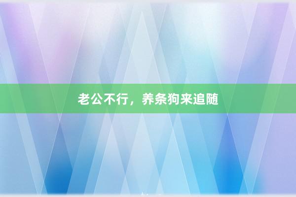 老公不行，养条狗来追随