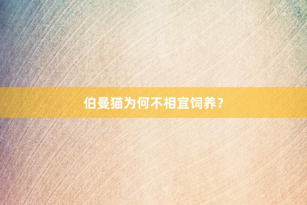 伯曼猫为何不相宜饲养？